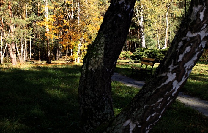 Leśny Park Kultury i Wypoczynku
