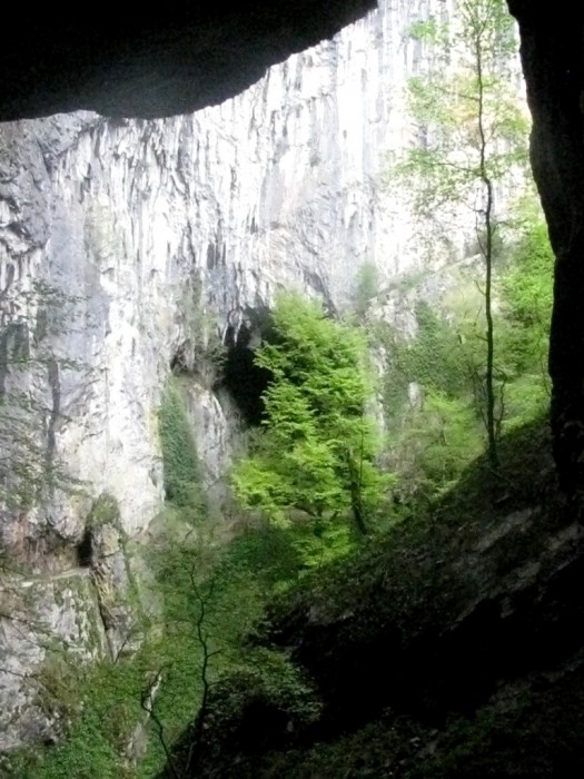 Jaskinie Škocjańskie