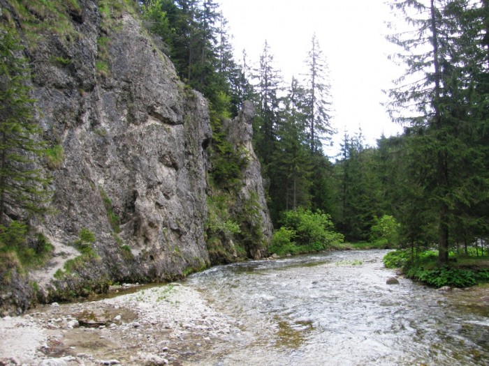 Dolina Chochołowska