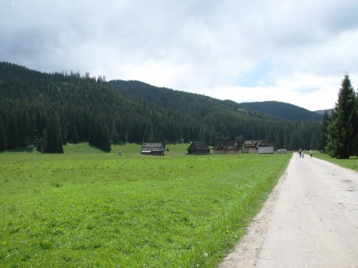 Dolina Chochołowska