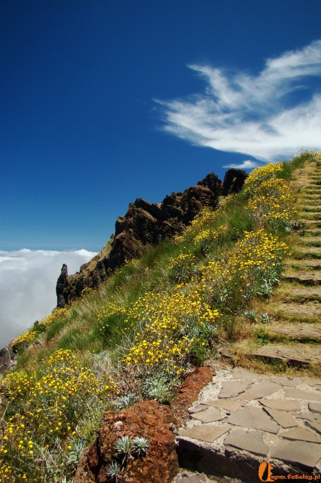 Pico de Torres (1 853 m n.p.m.)