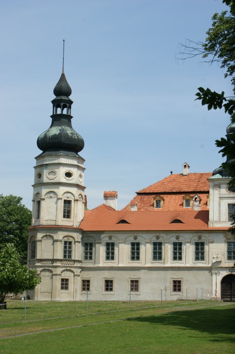 Pałac w Żyrowej