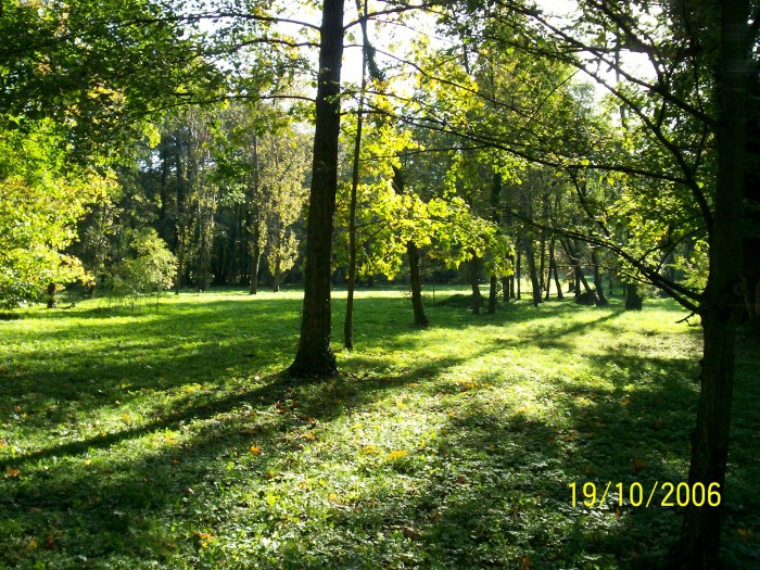 Park Strzelecki