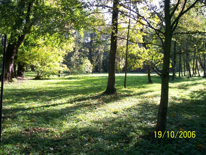 Park Strzelecki