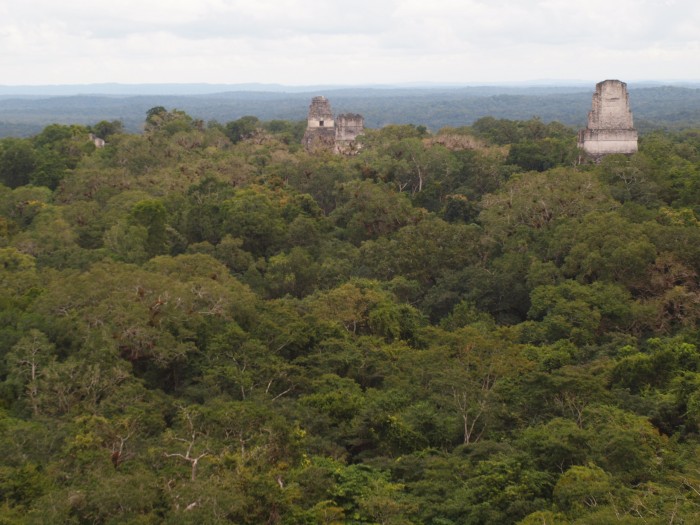 Templo IV - Świątynia Dwugłowego Węża - widok na Tikal