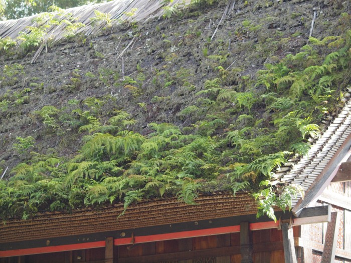 Skansen domów Toradzów - dach z bambusa