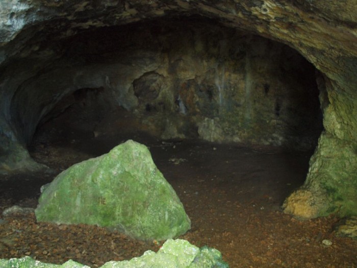 Jaskinia Niedzwiedzia