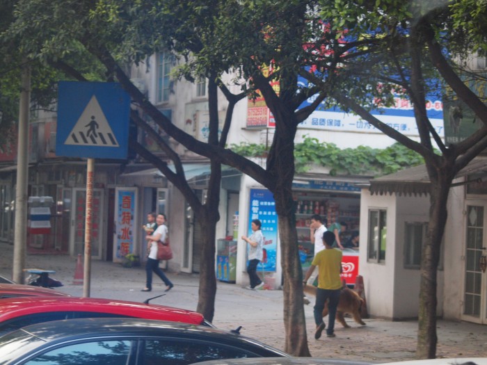 Ulica Chongqing