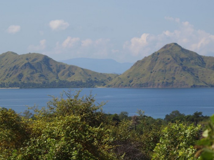 Krajbraz wyspy Komodo