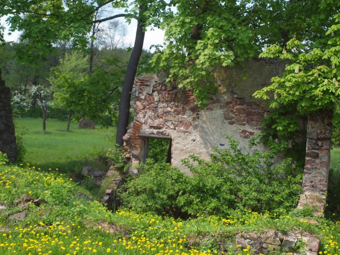 Ruiny pieca z XIX w
