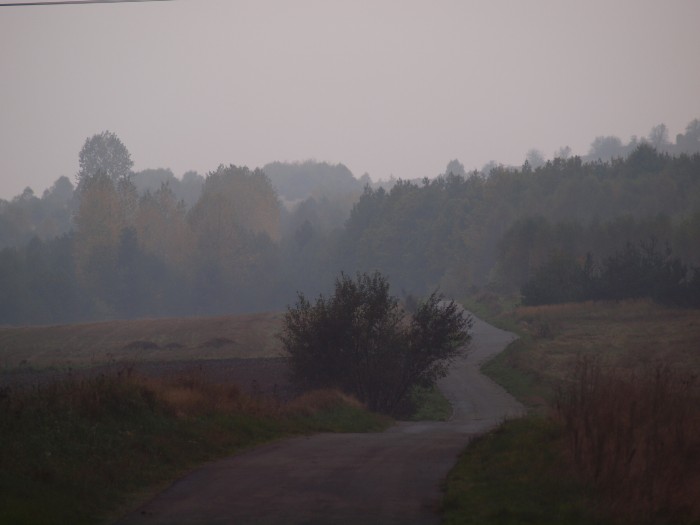 Mgła w drodze do Żarek