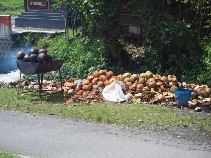 Wsie i miasteczka po drodze - kokosy