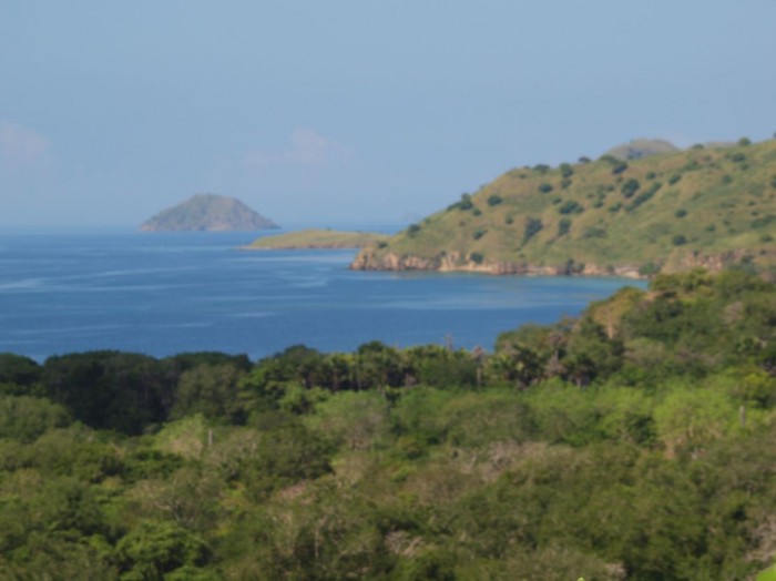 Krajbraz wyspy Komodo