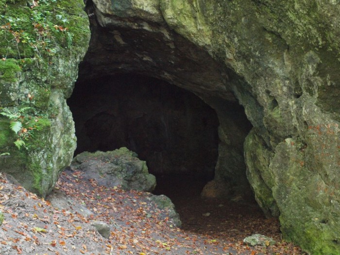 Jaskinia Niedzwiedzia