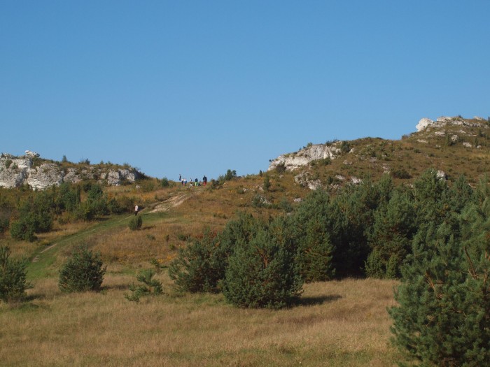 Góra Lipówki