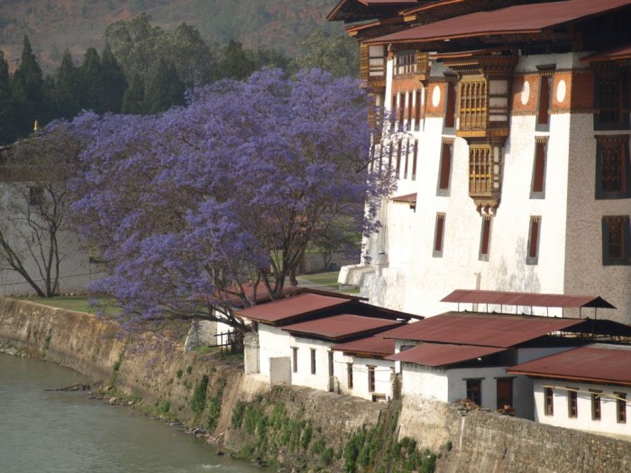 Pięknie zdobienia klasztoru w Punakha