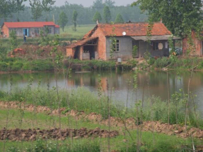 Krajobraz wiejski - pola ryżowe i domy