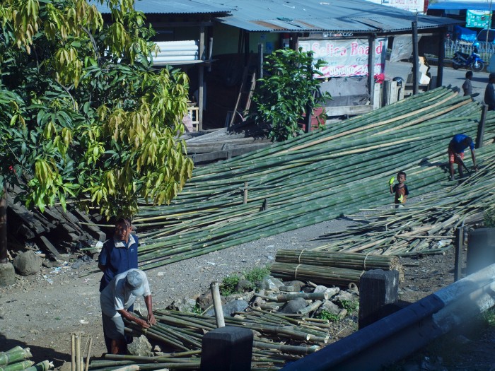 Krajobrazy w drodze - bambus