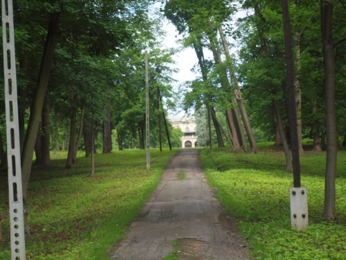 Park pałacowy