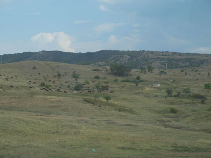 Rejon Kakheti