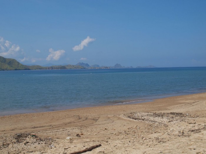 Krajbraz wyspy Komodo - plaża i port
