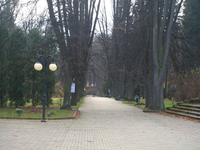 Długopole Zdrój - park