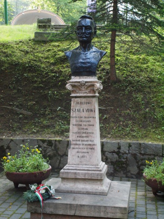 Pomnik Szalaya