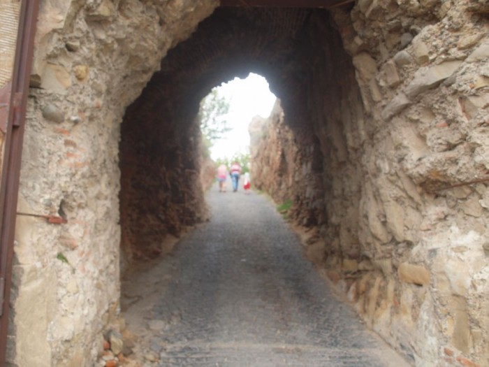 Wejście do Twierdzy Narikala
