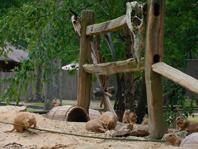 Hattiesburg Zoo