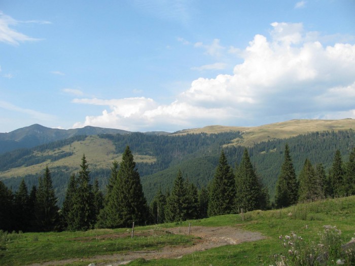Przełęcz Prislop