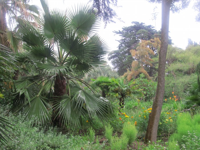Blanes - Marimurtra Botanical Garden