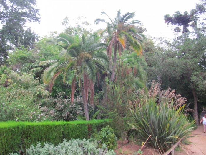 Blanes - Marimurtra Botanical Garden
