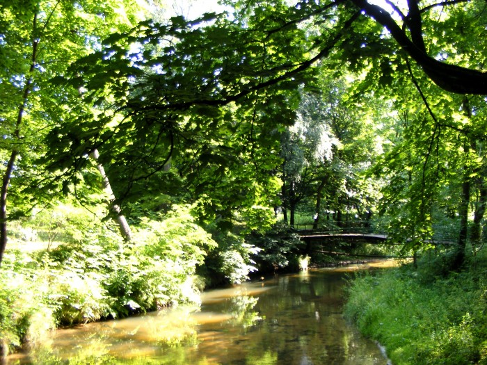 Rzeka Wieprz - park miejski