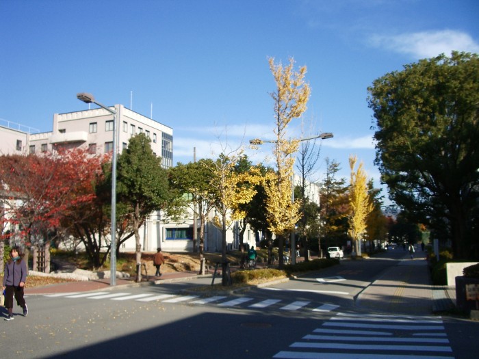 Uniwersytet w Osace